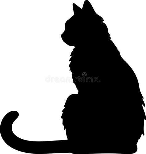 A Purrfect Silhouette: Exploring Tabby's Figure