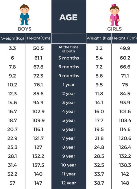 About Age, Height, and Body Measurements