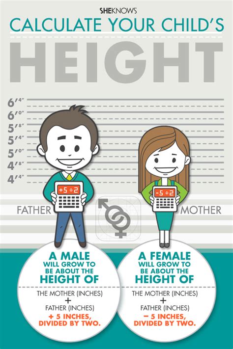 Age, Height, and Figure: What You Need to Know