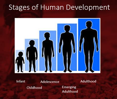 Age: The Journey From Adolescence to Adulthood