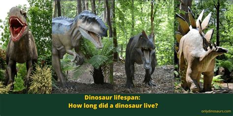 Age: Unraveling the Enigma of Dinosaur Lifespan
