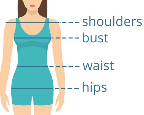 Analyzing Meisu's Physique and Body Measurements