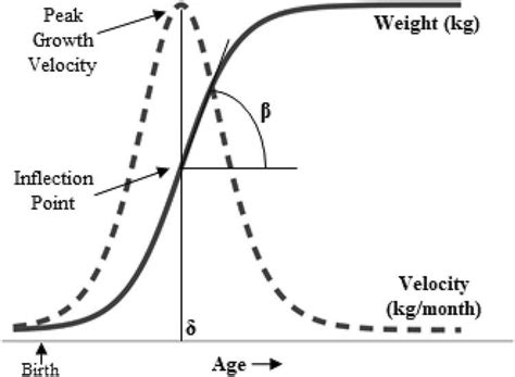 Analyzing the Financial Success and Wealth of Adaire E Aire