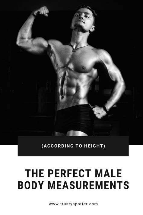 Analyzing the Standards of the Ideal Physique in the Industry