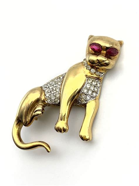 Beyond Appearances: The Exquisite Figure of the Golden Feline