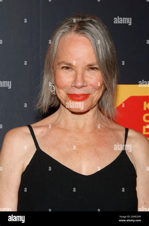 Beyond the Silver Screen: Barbara Hershey's Influence in the Entertainment Industry