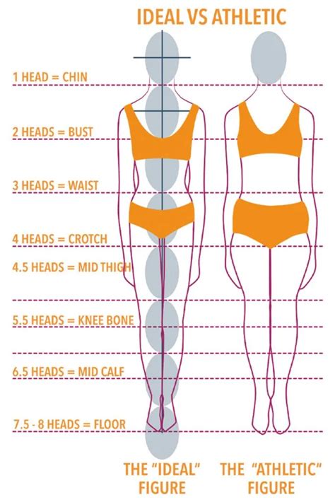 Body Measurements: The Physical Proportions of Ava Campos