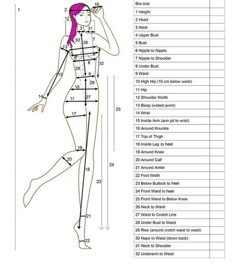 Body Measurements and Fashion