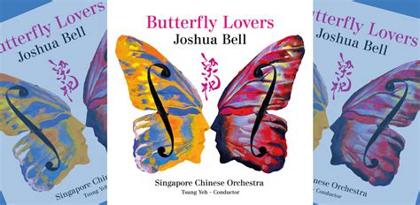 Butterfly Lovers Worldwide: Celebrating their Affection and Splendor