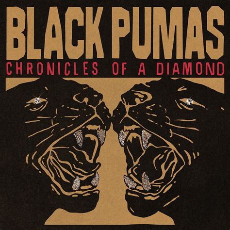 Chart-Topping Hits: A Comprehensive Look at Black Puma's Discography