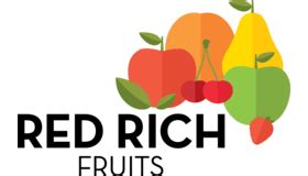 Cindy Red's Wealth: The Fruits of Diligence and Skill