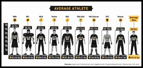 Comparative Analysis of Height and Physique