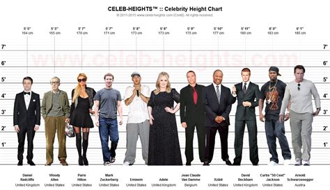 Comparison of Height with Other Celebrities