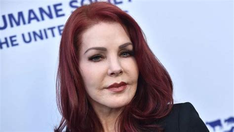 Discovering Priscilla Presley's Enigmatic Height and Iconic Figure