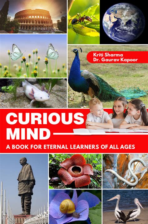 Education: Unveiling the Brilliance of a Curious Mind