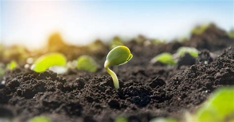 Enhancing Soil Health