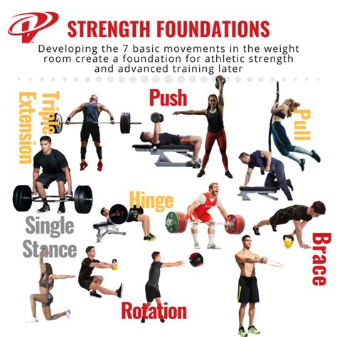 Enhancing Strength and Fitness through Exercise