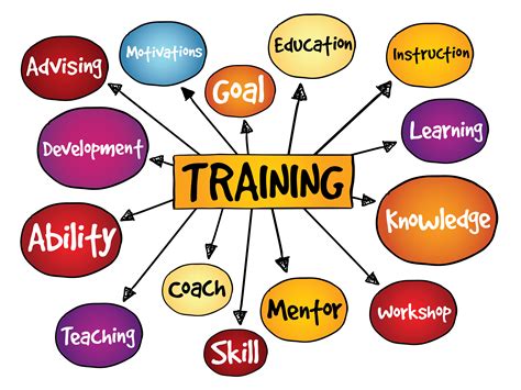 Enhancing Work Performance through Effective Training and Provision of Resources