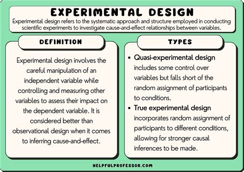 Experimenting with Different Design Software: Expanding Your Design Toolbox