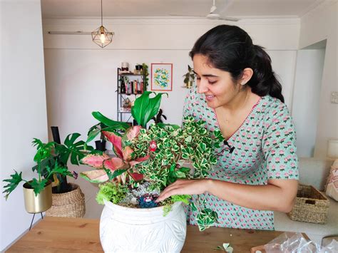Exploring Ekta Chaudhary's Financial Success: Achieving Career Excellence in the World of Gardening