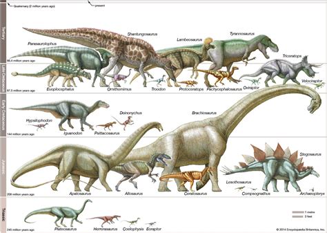 Exploring the Link Between Lifespan and Dinosaur Types: Age and Species