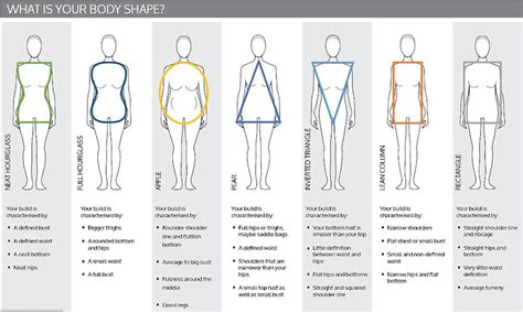 Figure: Analyzing Brittany Lynne's Body Shape