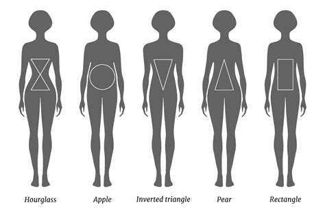 Figure: Body Shape, Weight, and Size