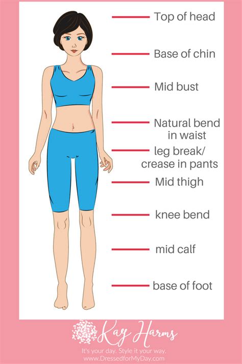 Figure: Exploring the Body Measurements and Proportions of Daynia Xxx