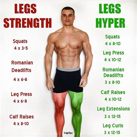 Figure and Fitness: Adam's Workout Regimen