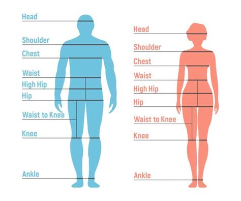 Figure and Measurements