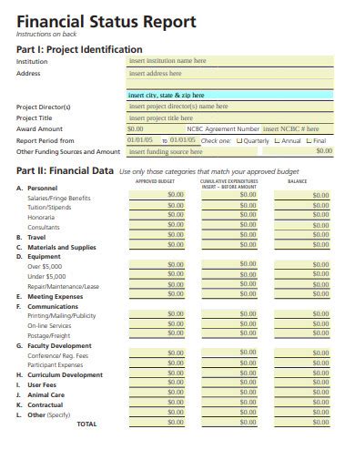 Future Projects and Financial Status