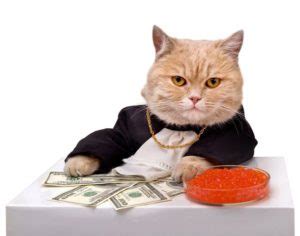 Golden Fortunes: Calculating the Wealth of the Fair-Haired Feline