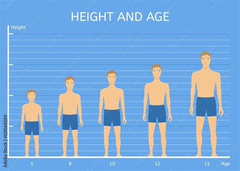 Height
