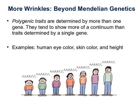 Height: Beyond Genetics