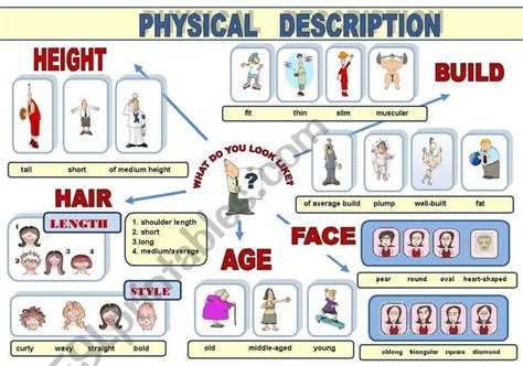 Height: Physical Characteristics