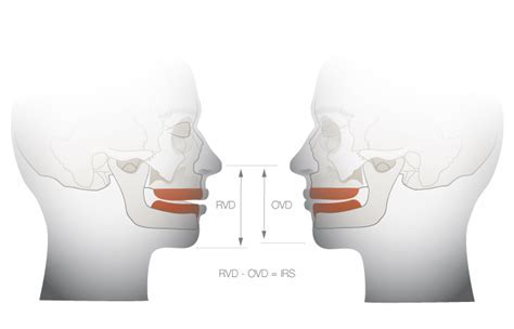 Height: Unveiling the Vertical Dimension