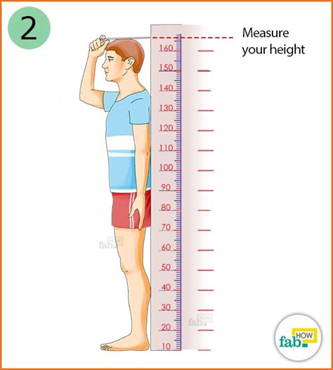 Height: What to Know