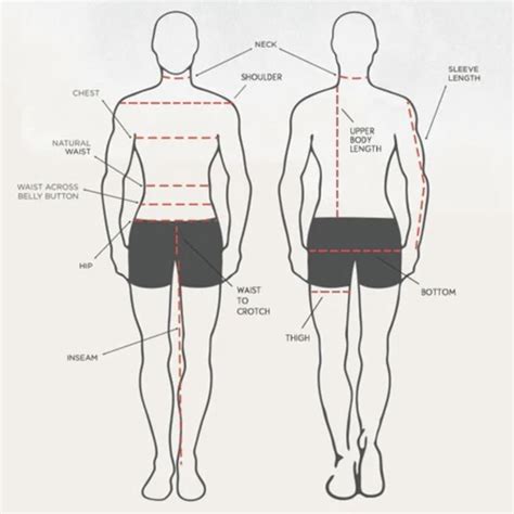 Height and Body Measurements: Unveiling the Details