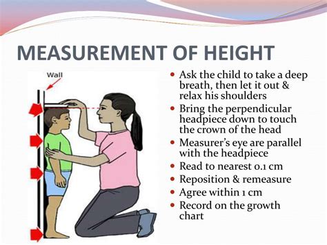 Height and Physical Measurements