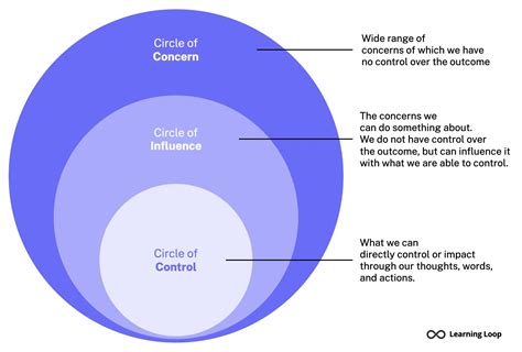 Impact and Influence: The Significance of AnaBabyCakes in the Online Realm