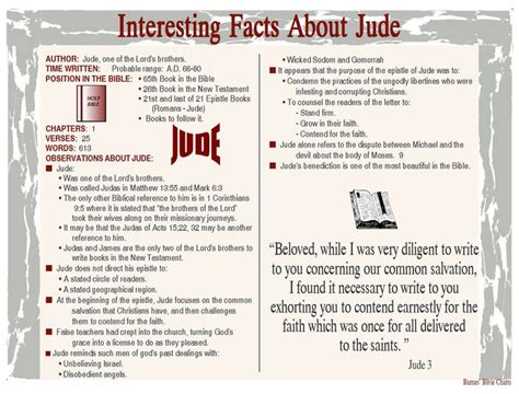 Interesting Facts about Eva Jude