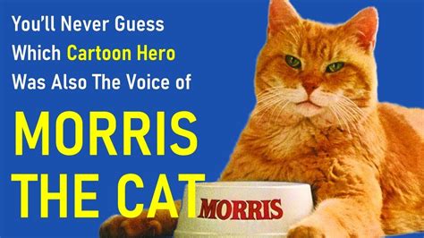 Introduction to Cat Morris Biography