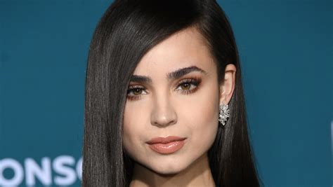 Introduction to Sofia Carson's Life