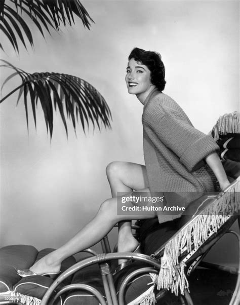 Julie Adams 2: A Comprehensive Background