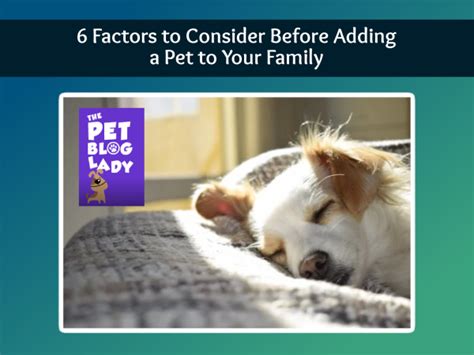 Key Factors to Consider Before Adding a Pet to Your Family