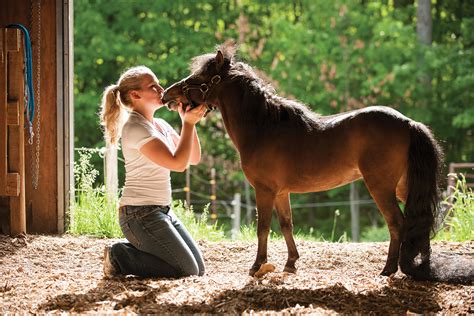 Mini Stallion's Path to Success: A Story of Dedication and Passion