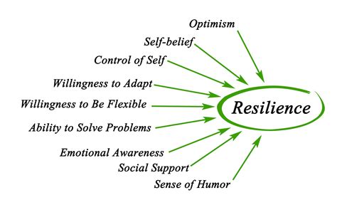 Optimism and Resilience: Key Contributors to Goal Achievement