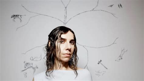 PJ Harvey: A Musical Journey