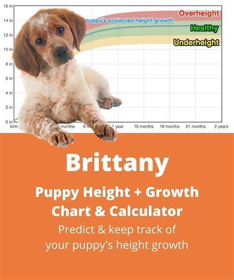 Physical Attributes and Vital Statistics