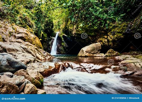 Revealing the Astonishing Treasures of Costa Rica: Exploring its Mesmerizing Flora and Enchanting Fauna